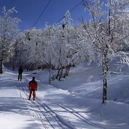 Appartamento La Finestra Sui Cento Portali Pignola